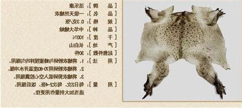 蟾蜍 要 放 哪裡 比較 好